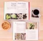 Rzadkie, zapomniane i egzotyczne rośliny jadalne w ogrodzie - Anna Toott - obrazek 10